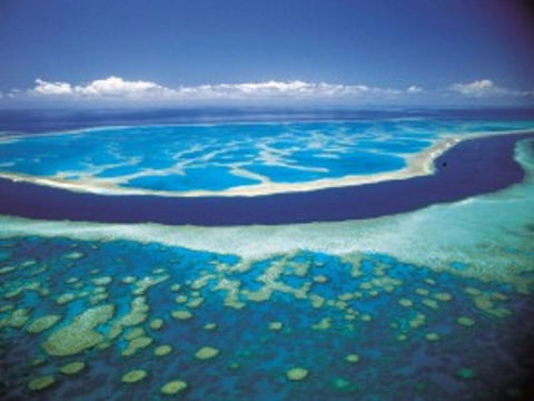 Hardy Reef - Grafton Accommodation 0