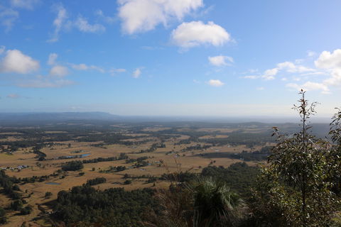 Heaton State Forest - Watagan Mountains - Grafton Accommodation 0