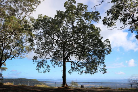Heaton State Forest - Watagan Mountains - Grafton Accommodation 2