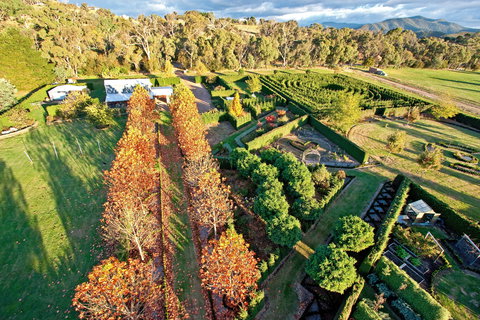 High Country Maze - Grafton Accommodation 1