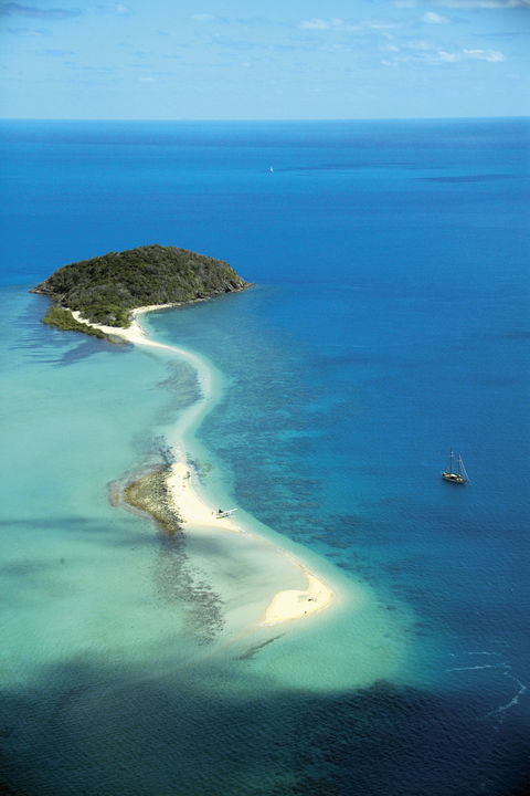 Langford Island - Grafton Accommodation 1