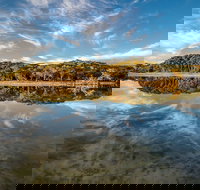 Lashmar Conservation Park - Grafton Accommodation