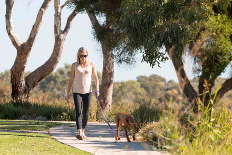 Meningie Walking And Cycling Trails - Grafton Accommodation 0