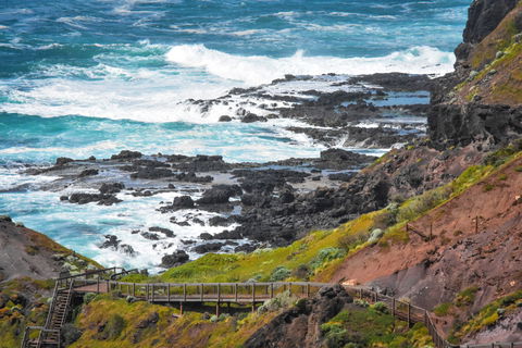 Mornington Peninsula National Park - Grafton Accommodation 0
