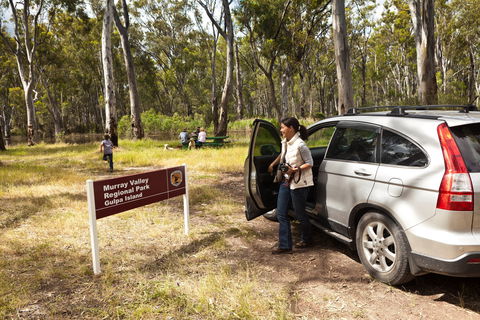 Murray Valley Regional Park - Grafton Accommodation 0