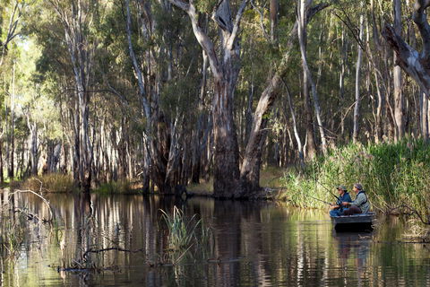 Murray Valley Regional Park - Grafton Accommodation 1