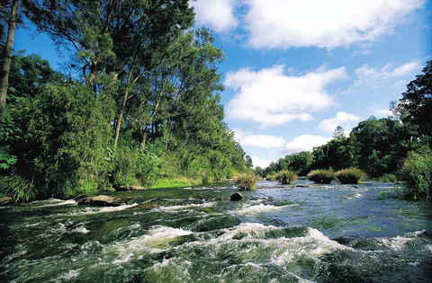 Richmond Valley Hinterland Self Drive Tour - Grafton Accommodation 0
