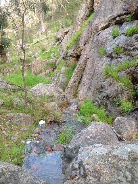 Salisbury Falls Walk - Grafton Accommodation 2