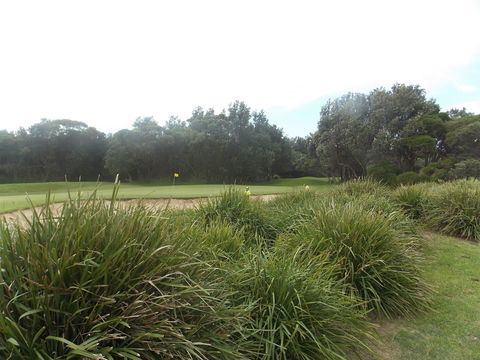 Shoalhaven Heads Golf Club - Grafton Accommodation 0