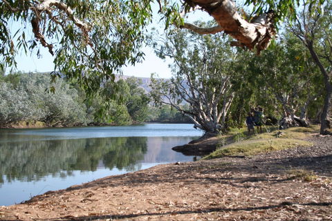Silent Grove - Grafton Accommodation 0