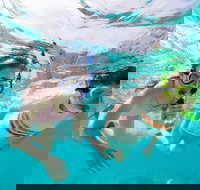 Snorkel Hat Head Creek