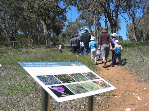 South Gundagai Woodlands Walk - Grafton Accommodation 0