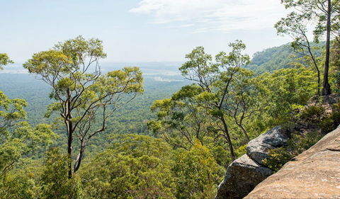 The Narrow Place Lookout - Grafton Accommodation 0