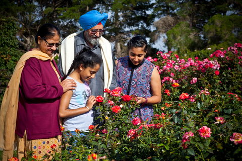 Victoria State Rose Garden At Werribee Park - Grafton Accommodation 0