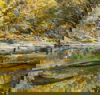 Warrabah National Park - Grafton Accommodation