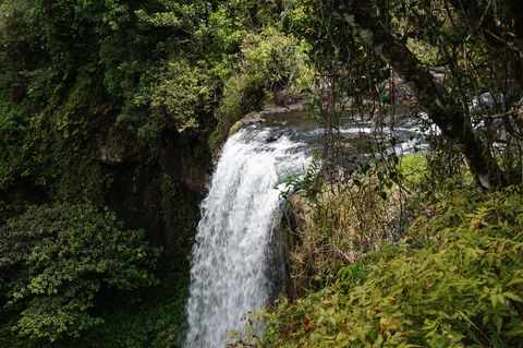 Zillie Falls - Grafton Accommodation 0
