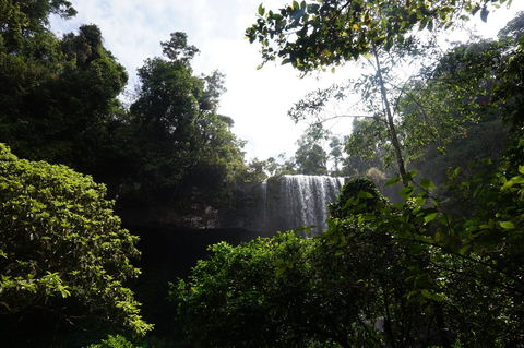 Zillie Falls - Grafton Accommodation 1