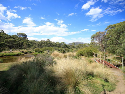 Bullocks Walking Track - Grafton Accommodation 0