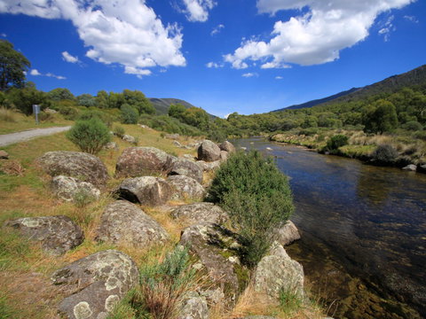 Bullocks Walking Track - Grafton Accommodation 1
