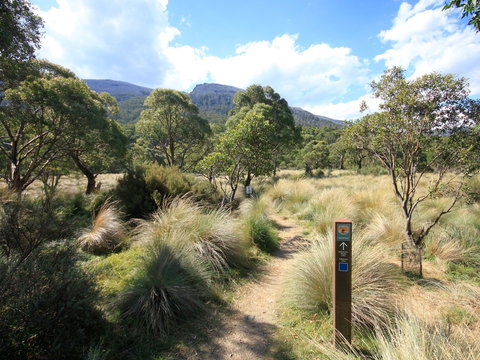 Bullocks Walking Track - Grafton Accommodation 2