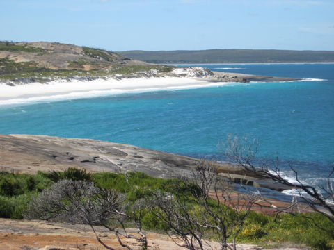 Cape Arid National Park - Grafton Accommodation 1