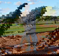 Cobar Miners Heritage Park - Grafton Accommodation