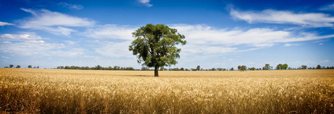 Coonamble - Grafton Accommodation 1