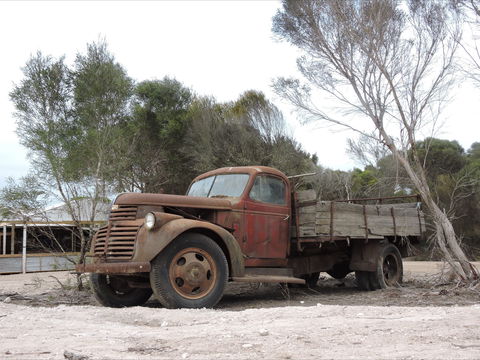 Emu Ridge Eucalyptus Pty Ltd - Grafton Accommodation 2