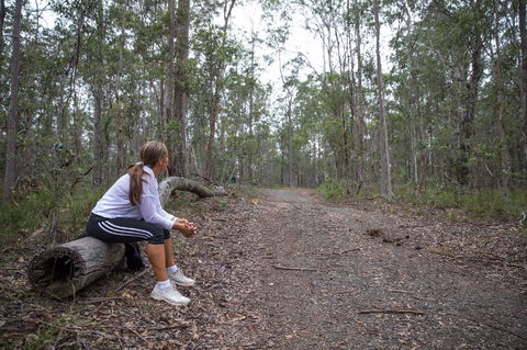 Ironbark Ridge And Spotted Gum Walking Trails - Grafton Accommodation 1