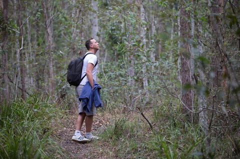Ironbark Ridge And Spotted Gum Walking Trails - Grafton Accommodation 2