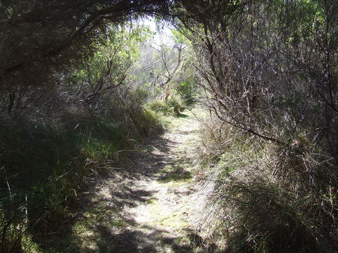 Jack And Hilda McArthur Walk - Grafton Accommodation 0
