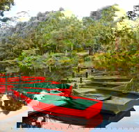 Lane Cove National Park - Grafton Accommodation