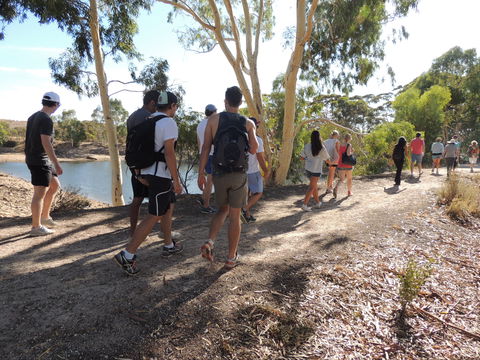 Merredin Railway Dam - Grafton Accommodation 1