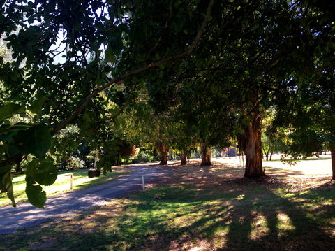 Mirimbah Park - Grafton Accommodation 0