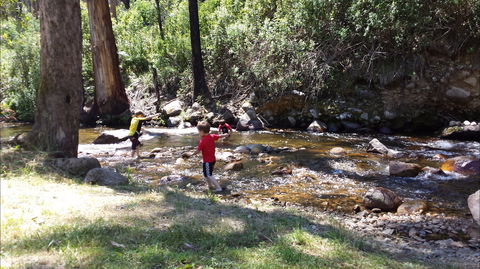 Mirimbah Park - Grafton Accommodation 1