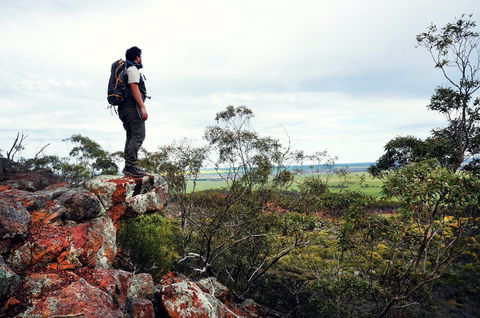 Mount Matilda - Grafton Accommodation 0