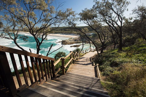 North Gorge Walk, Point Lookout - Grafton Accommodation 0