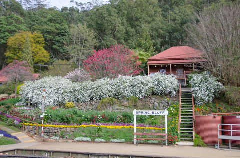 Spring Bluff Railway Station - Grafton Accommodation 1