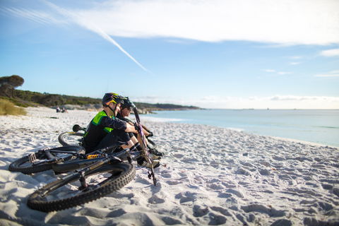 St Helens Mountain Bike Trails - Grafton Accommodation 0