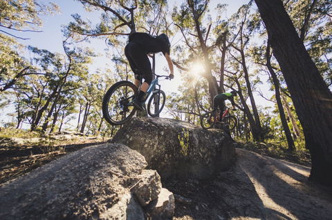 St Helens Mountain Bike Trails - Grafton Accommodation 1
