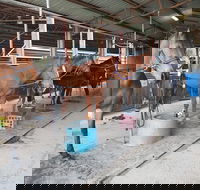 The Equine Club - Grafton Accommodation