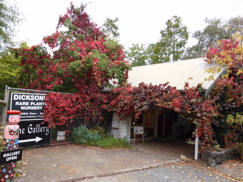 The Gallery Mt Macedon - Grafton Accommodation 0