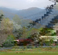 Tilba Tilba - Grafton Accommodation