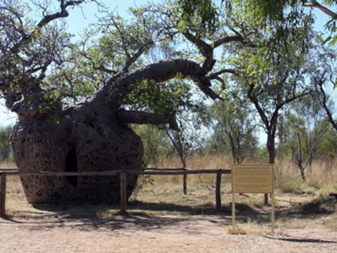 Time Walk, Windjana Gorge National Park - Grafton Accommodation 2
