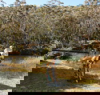 Wild Valley Art Park - Grafton Accommodation