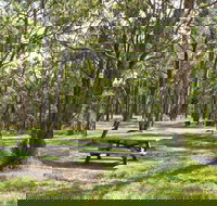 Wollomombi Gorge and Falls Picnic Area - Grafton Accommodation