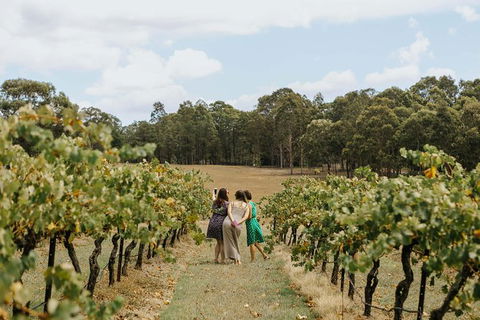 Hunter Valley Premium Food & Drink Pairing Tour - Grafton Accommodation 5
