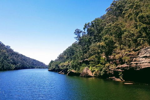 Scenic Adventure Cruise - Grafton Accommodation 11