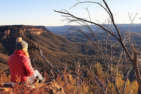 Ultimate Blue Mountains Waterfalls, Walks & Sunset PRIVATE Tour - Grafton Accommodation 5