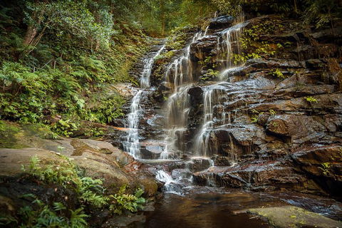 Ultimate Blue Mountains Waterfalls, Walks & Sunset PRIVATE Tour - Grafton Accommodation 10